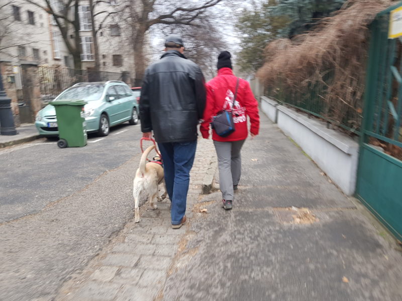 kép: Egy kiképző és a egy látássérült személy vakvezető kutyájával éppen azt gyakorolják, hogy tudnak gyorsan reagálni egy útesten lévő káttyúra!