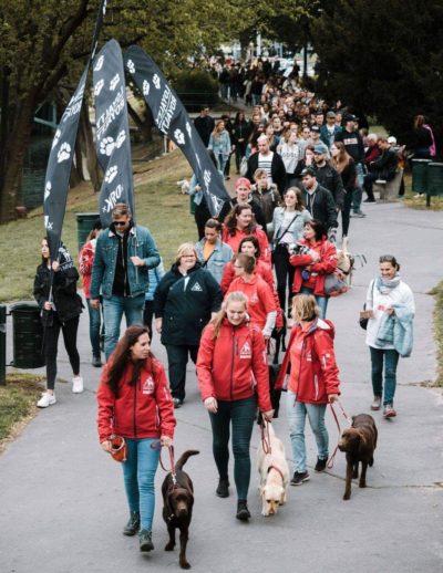 A rendezvényen megjelent tömeg sétál vakvezető kutyákkal és Loyalty is Royalty zászlókkal.