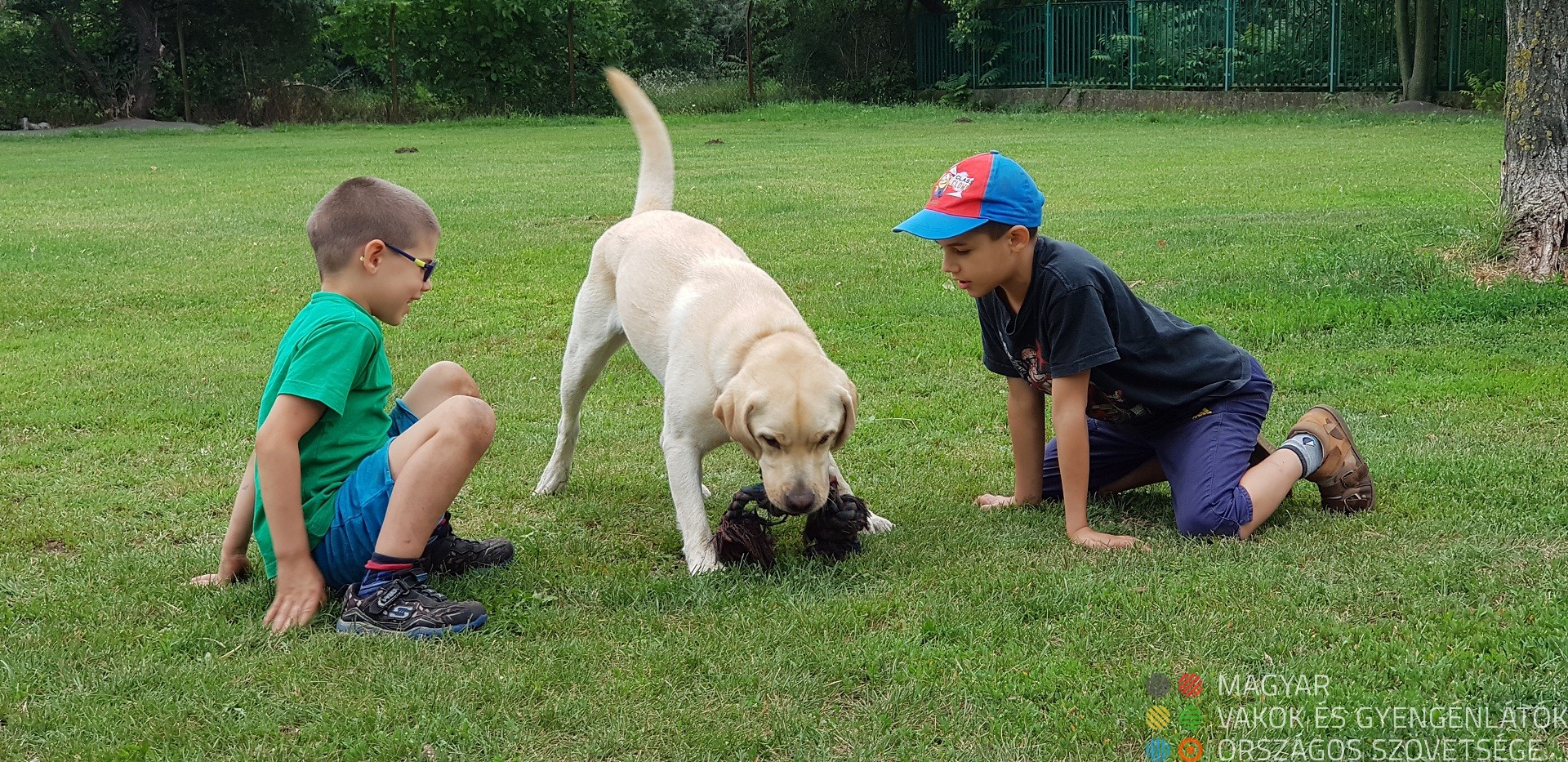 Gyerekek játszanak egy labrador kutyussal