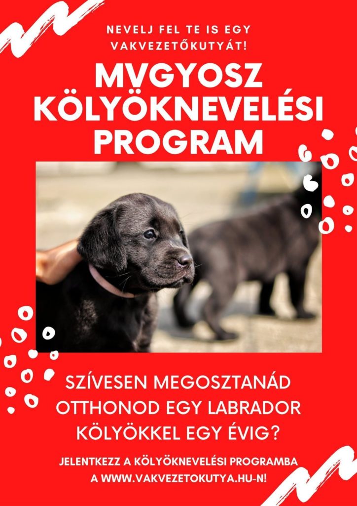 Kölyöknevelési program plakát