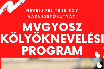 Kölyöknevelési program